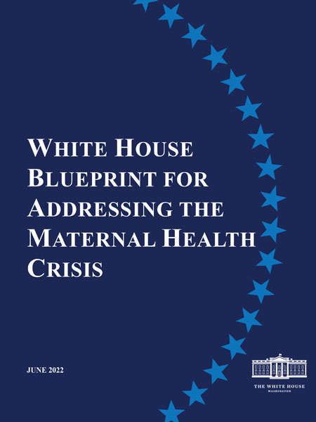 White-House-Blueprint-cover